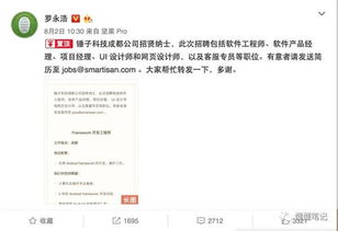 坚果手机大卖，老罗的情怀终于迎来春天